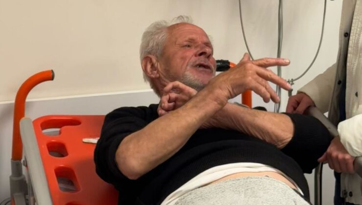 Balıkesir’de zeytinlikte ayı saldırısı