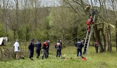 Bartın’da ağaç budarken kalp krizi geçirip can verdi