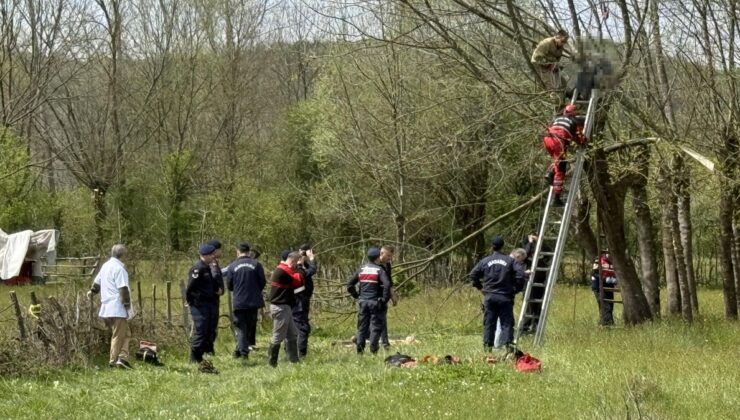 Bartın’da ağaç budarken kalp krizi geçirip can verdi