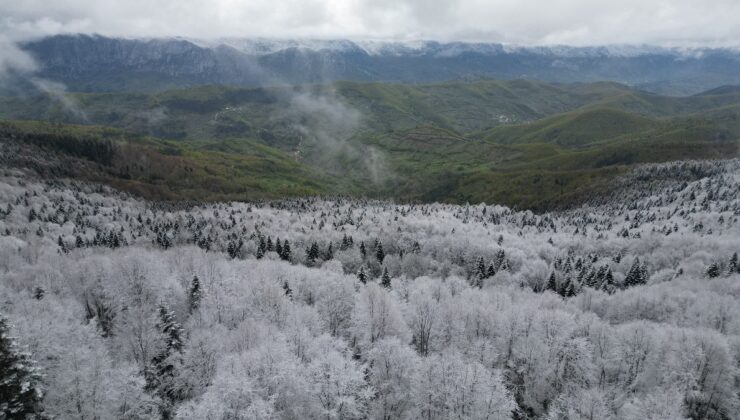 Bartın’da iki mevsim bir arada