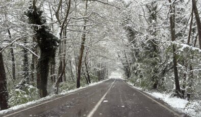 Bartın’daki ağaç tünel yol karla kaplandı
