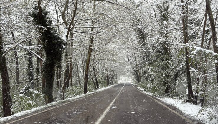 Bartın’daki ağaç tünel yol karla kaplandı