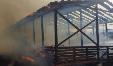 Bursa’da at çiftliğinde yangın paniği