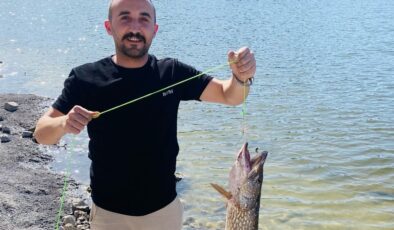 Bursa’da balıkçının oltasına 7 kiloluk turna takıldı