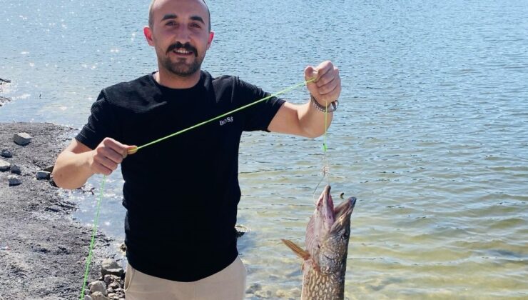 Bursa’da balıkçının oltasına 7 kiloluk turna takıldı