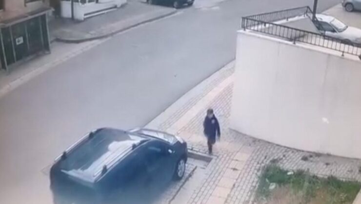 Bursa’da küçük çocuğa sokak köpekleri dehşeti yaşattı