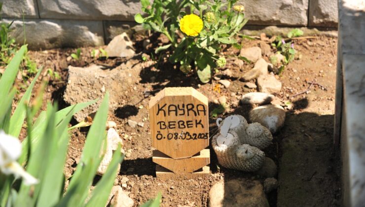 Bursa’da kürtajla alınan cenin için ‘kaçak defin’ soruşturması başlatıldı