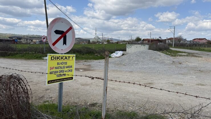 Çanakkale’de bir köyde daha şap karantinası uygulaması