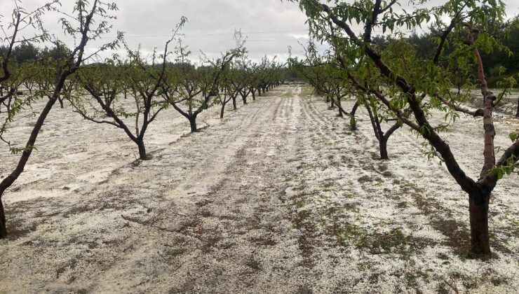 Çanakkale’de dolu alarmı: Meyve bahçelerini zarar gördü