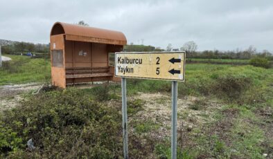 Çanakkale’de şap karantinası