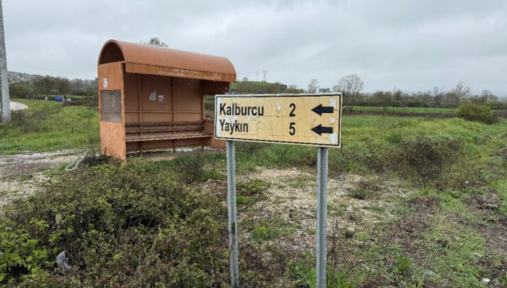 Çanakkale’de şap karantinası