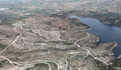 Çanakkale’de yanan ormanlar yeniden yeşerdi