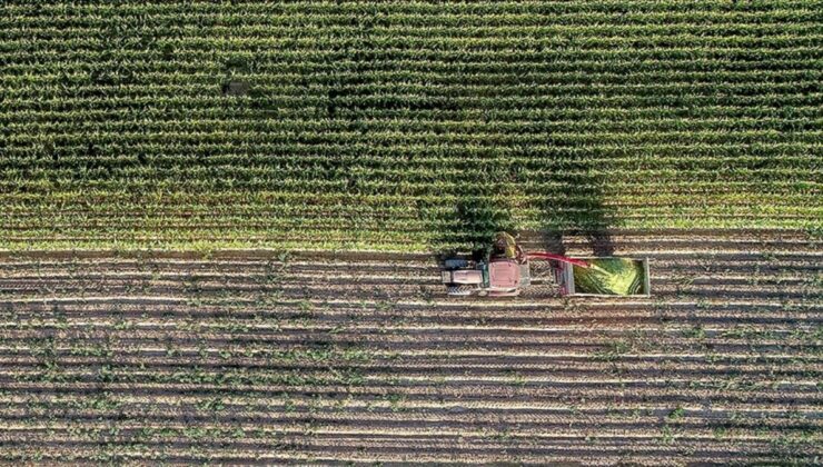 Çiftçilere 5,5 milyar lira destek ödemesi yapıldı