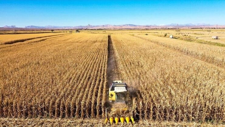 Çiftçilere 8,4 milyar lira destek ödemesi yarın hesapta