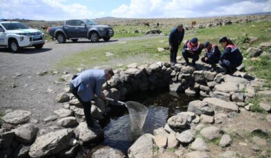 Diyarbakır, Mardin ve Şanlıurfa’nın kesişimindaki ‘doğal akvaryum’ turizme açılıyor
