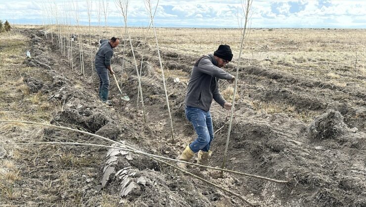 Doğaseverler, şehit ve gaziler anısına Tuz Gölü’nde 5 bin fidan dikti