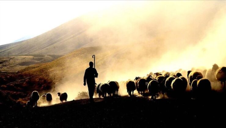 Erzincan’da besiciler, çoban bulmakta güçlük çekiyor