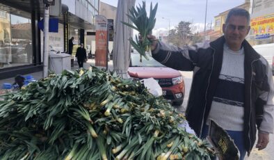 Erzincan’da doğal antibiyotik ‘çiriş otu’ tezgahlarda