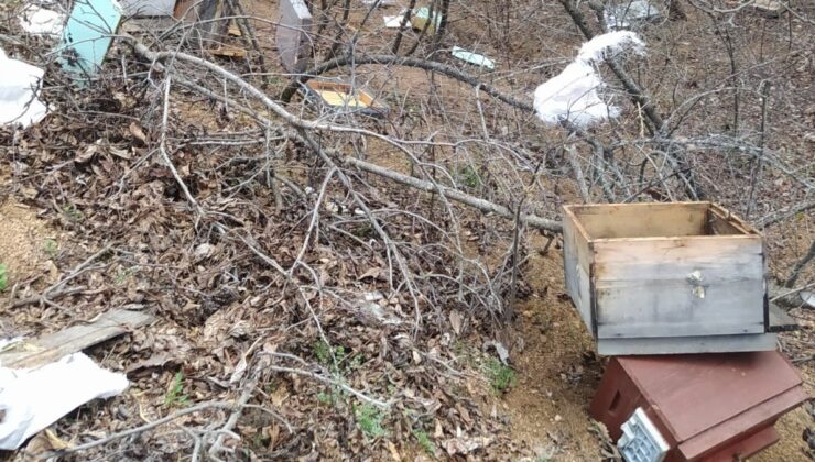 Gümüşhane’de fırtınada arı kovanları telef oldu