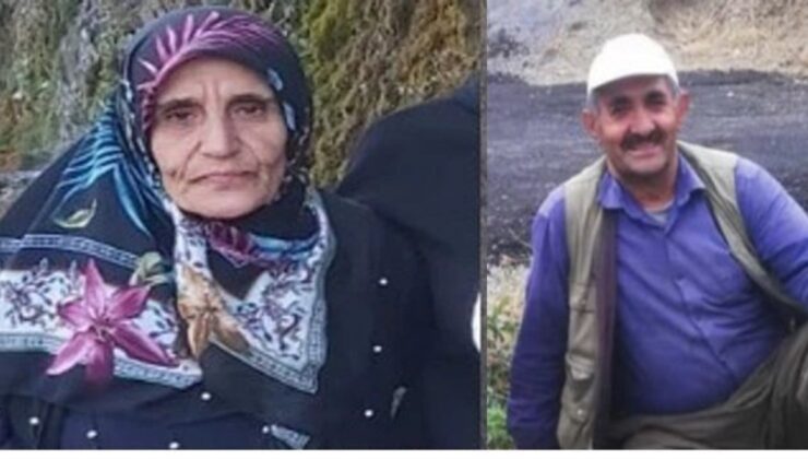 Hakkari’de 60 yaşındaki kadından haber yok