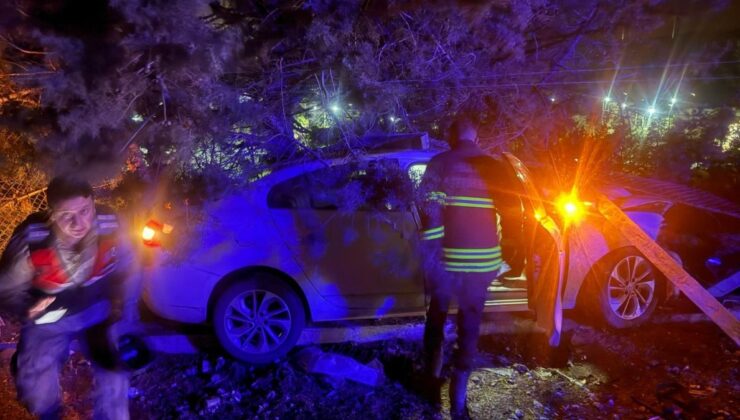Hatay’da araç zeytinliğe girdi, 2 kişi yaralandı