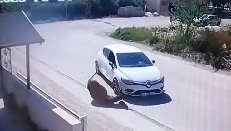 Hatay’da otomobiliyle eşeğe kasıtlı olarak çarptı