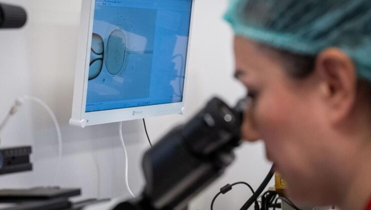 Hollanda’da 85 sperm donörünün binlerce çocuğa babalık yaptığı skandalı