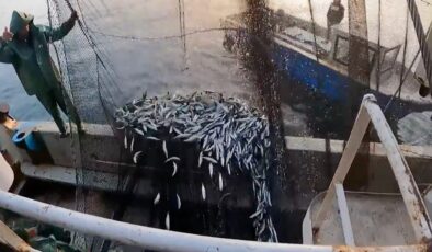 İbrahim Yumaklı duyurdu: Balıkçılık av sezonu tamamlandı