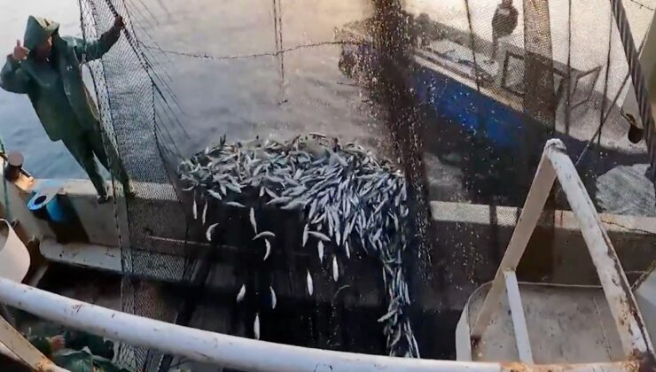 İbrahim Yumaklı duyurdu: Balıkçılık av sezonu tamamlandı