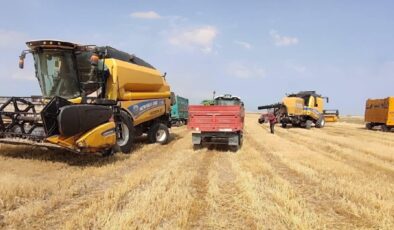 İbrahim Yumaklı duyurdu: Çiftçilere yaklaşık 6 milyar liralık destek ödemesi bugün yapılacak