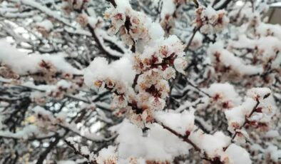 İbrahim Yumaklı: Tarihimizin en büyük ‘zirai don’ olaylarından birini yaşadık