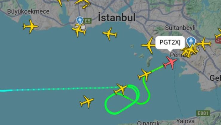 İstanbul’da kontrol yapılmasını isteyen pilot: Kuşlara çarpmış olabilirim