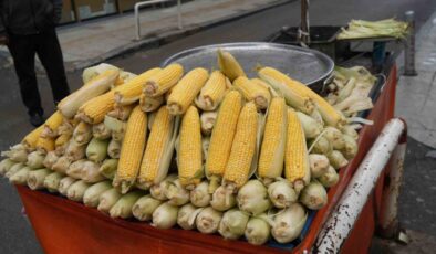 İster köz, ister haşlama! Süt mısır tezgahta: İşte fiyatı…