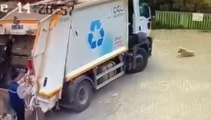 İzmir’de köpeği ezerek öldüren çöp kamyonu durmadan yoluna devam etti