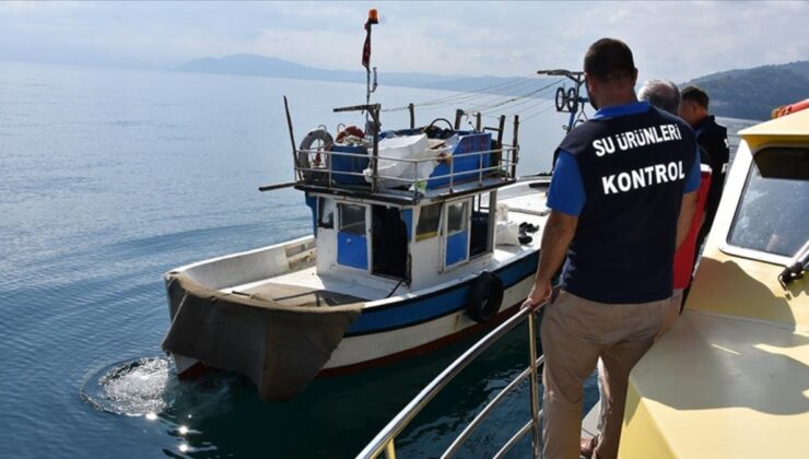 Kaçak su ürünlerine ceza yağdı