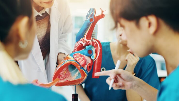 Kalpten gelen ölümcül tehlike: Aort yırtılması