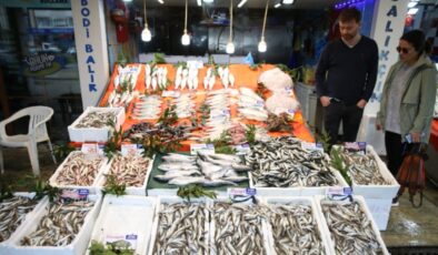 Karadenizli balıkçılar için sezon bereketli geçti