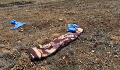 Kayseri’de başıboş köpekler yaşlı adama saldırdı