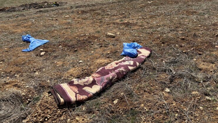 Kayseri’de başıboş köpekler yaşlı adama saldırdı