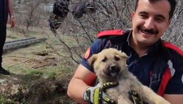 Kayseri’de kuyuya düşen yavru köpek kurtarıldı