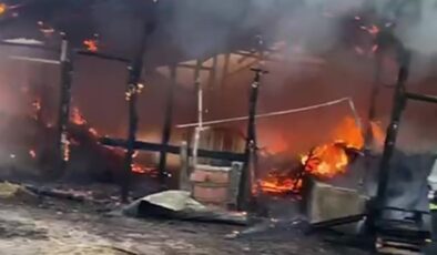 Kocaeli’de elektrik kontağından çıkan yangın samanlığa sıçradı