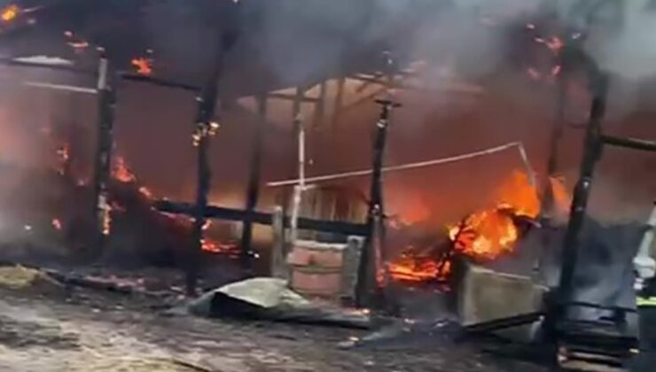 Kocaeli’de elektrik kontağından çıkan yangın samanlığa sıçradı