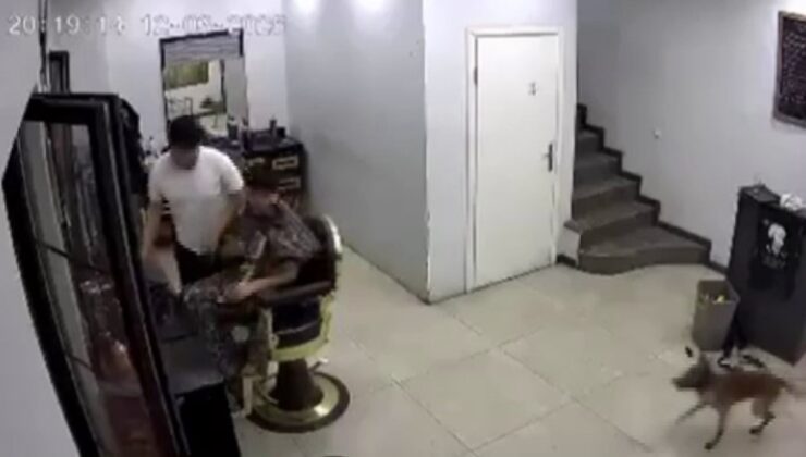 Kocaeli’de kuaföre sokulan köpek müşteriye saldırdı