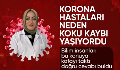 Kovid-19’un kalıcı koku kaybıyla bağlantısı çözüldü