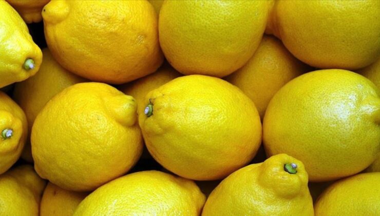Limon ihracatını durdurma kararı 15 Mayıs’a ertelendi