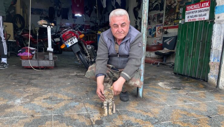Manisa’da esnaf bir kediyi hayata bağladı