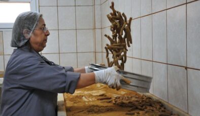 Manisa’da festivalde 8 ton şifalı macun dağıtılacak