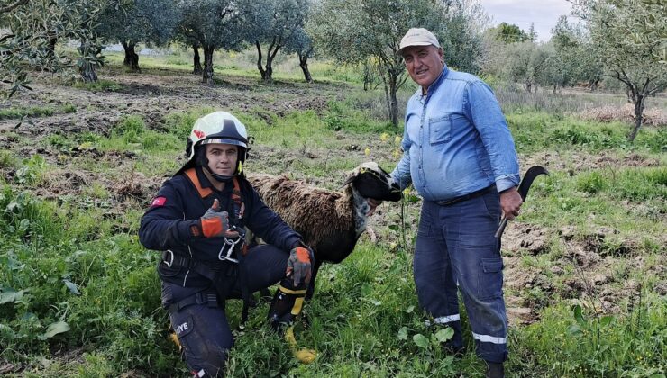 Manisa’da kuyuya düşen koyunu itfaiye kurtardı