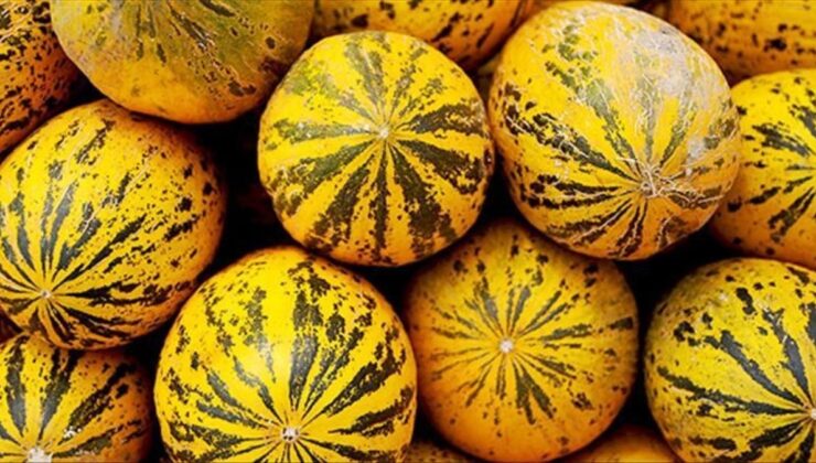 Manisa’nın Kırkağaç Kavunu AB’den coğrafi işaret tescili aldı