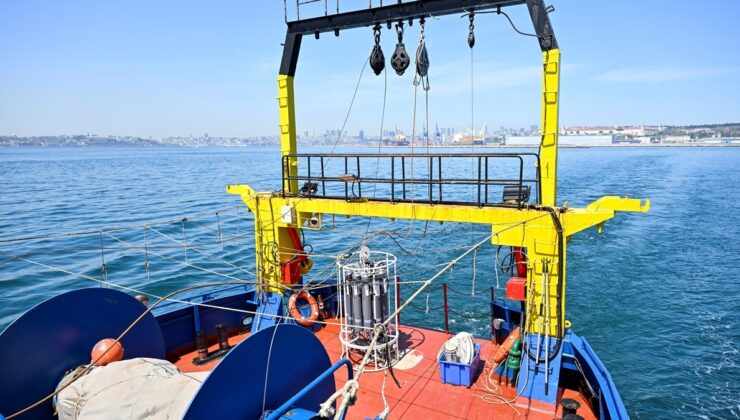 Marmara Denizi’nde müsilajın son durumu incelendi